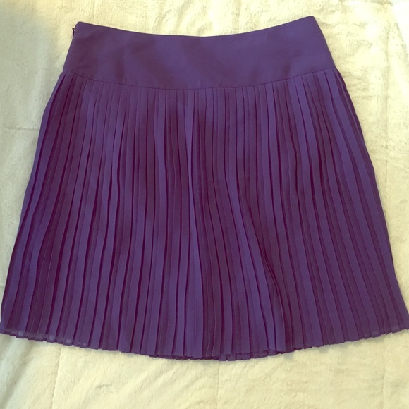 NWT Loft Pleated Skirt Size 4 - Picture 2 of 3